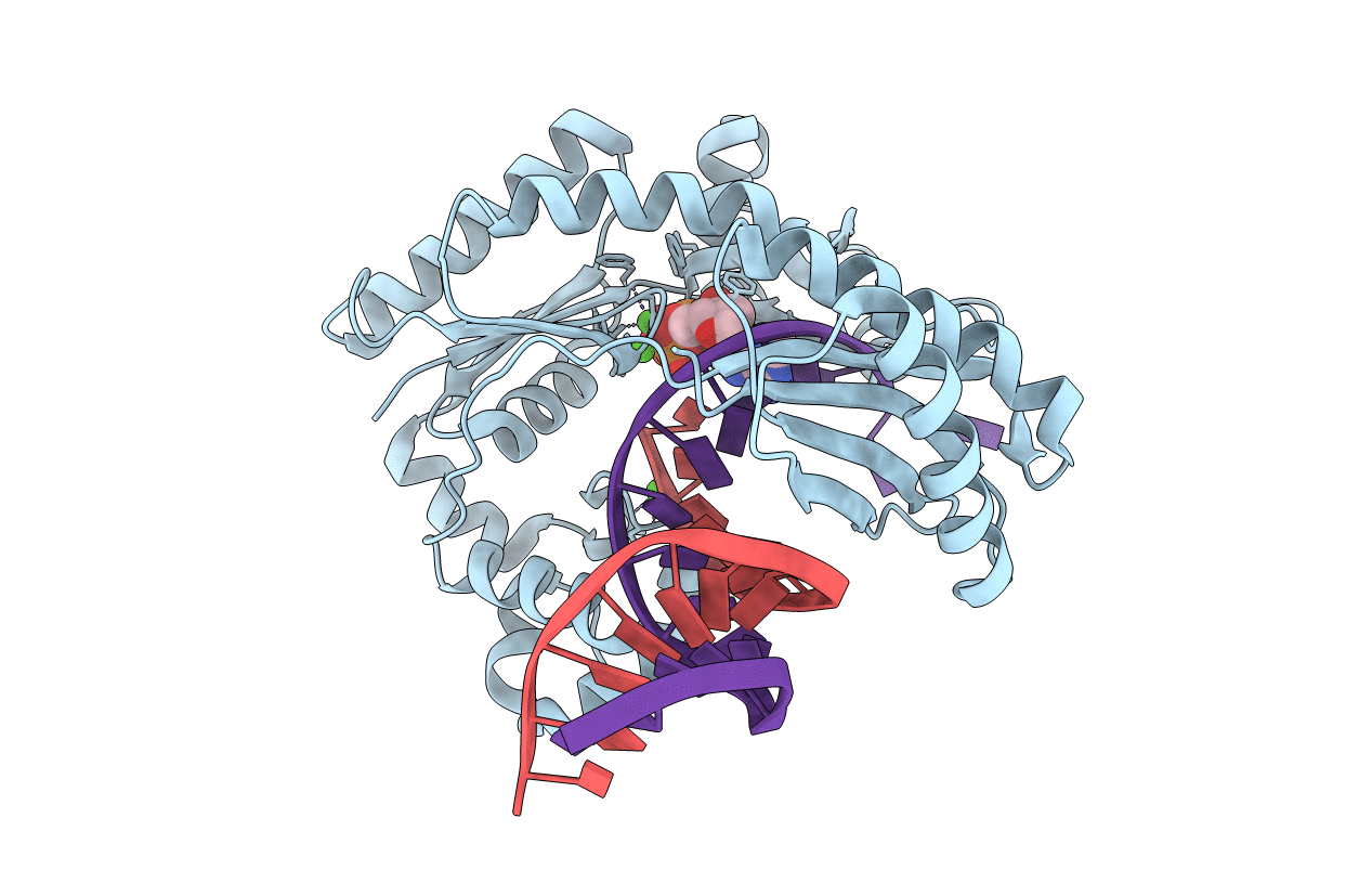 2R8I image