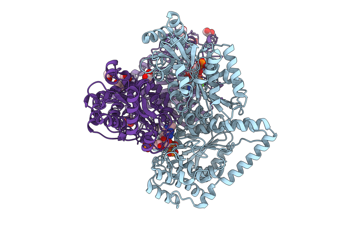 2R8P image
