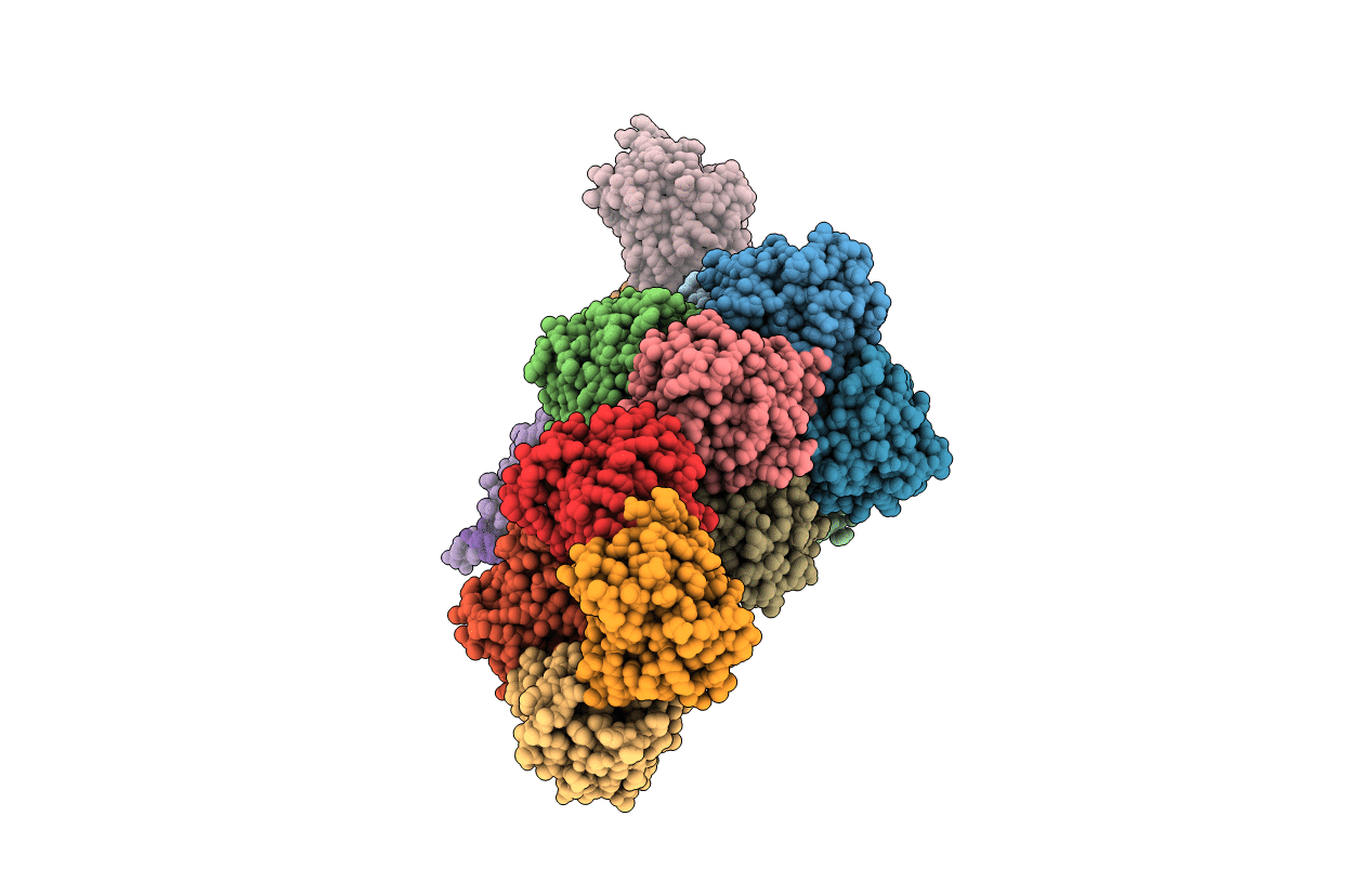 2R8X image