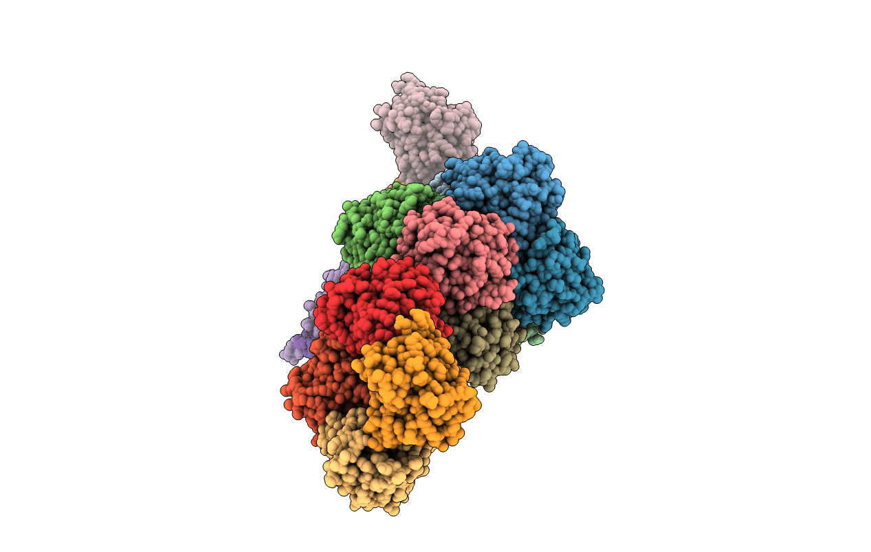 2R8Y image