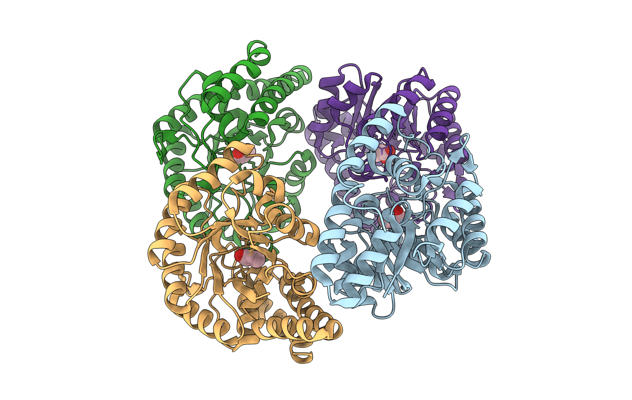 2R94 image