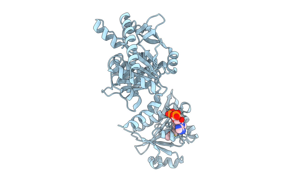 2R98 image