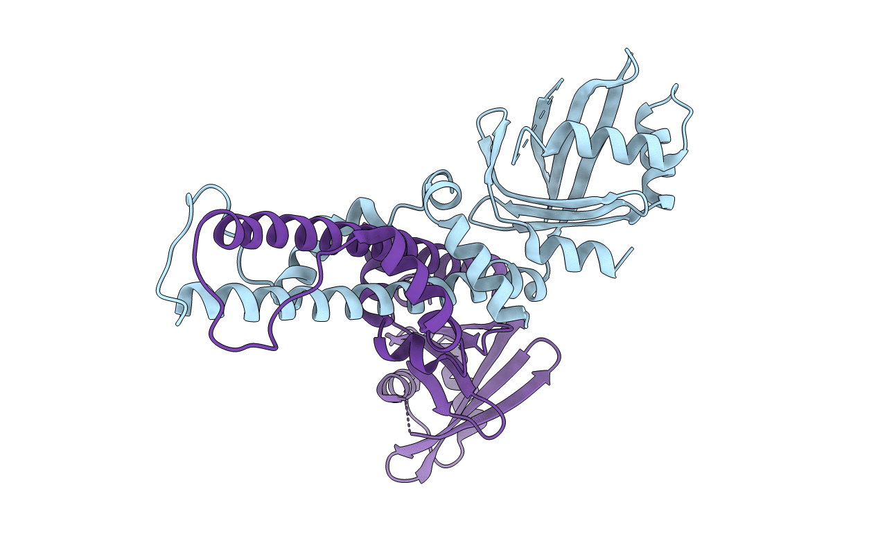 2R9A image