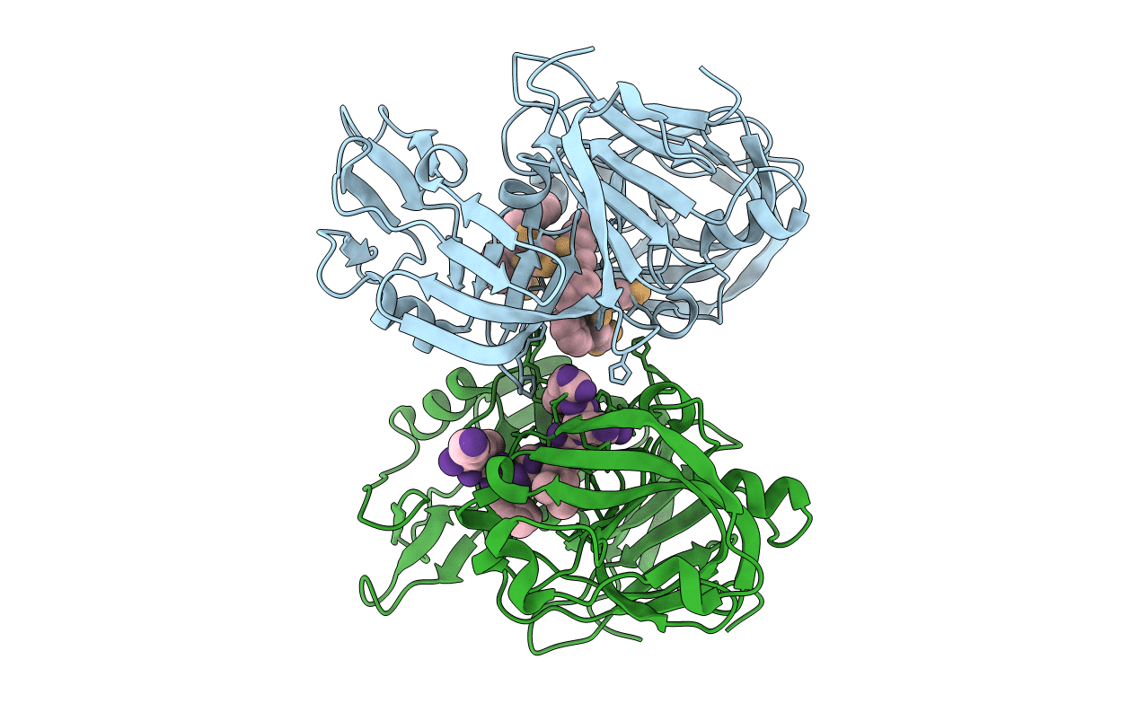 2R9B image