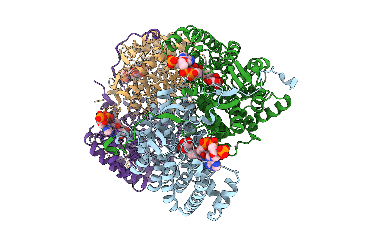 2r9e image