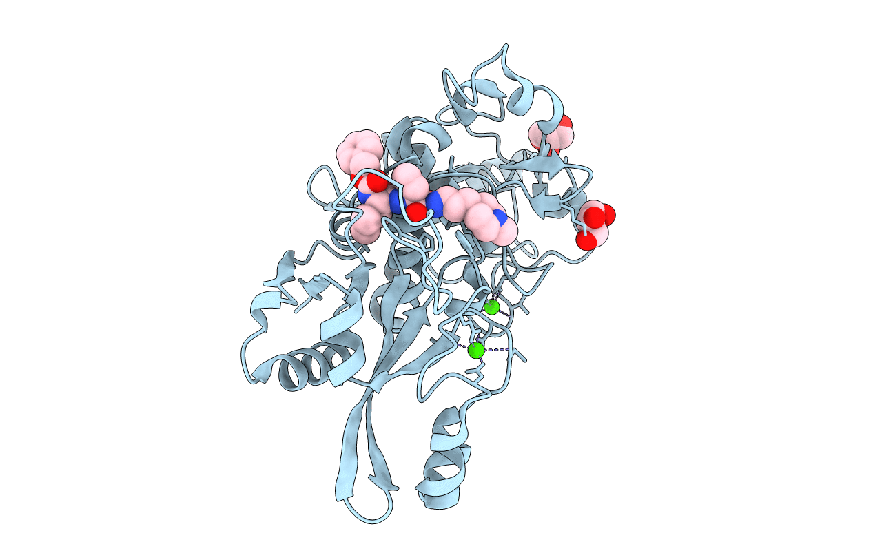2R9F image