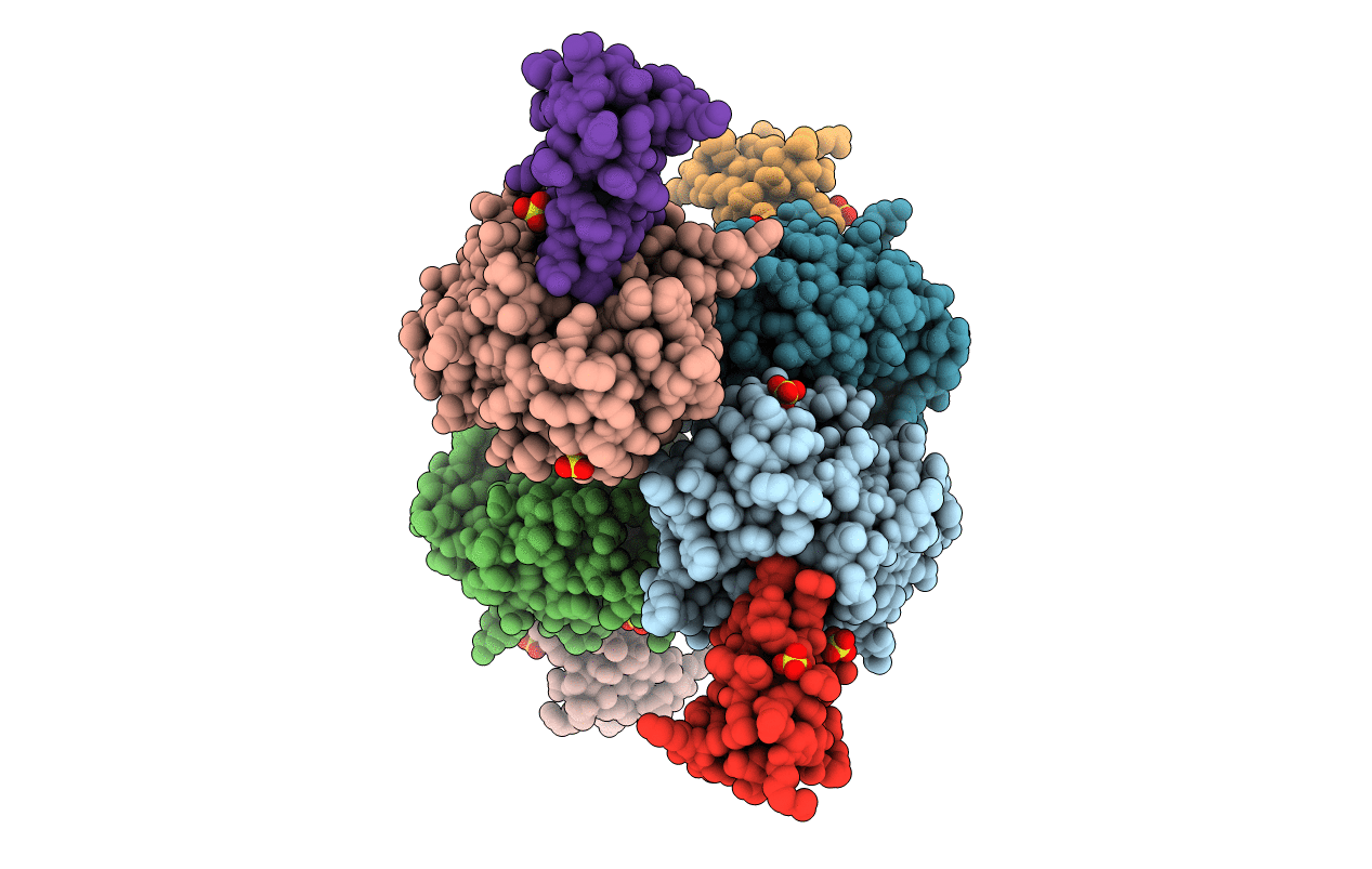 2R9P image