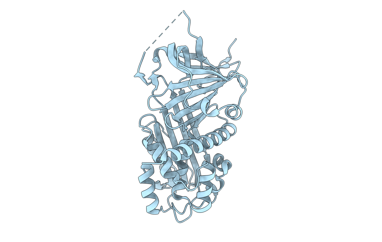 2R9Y image