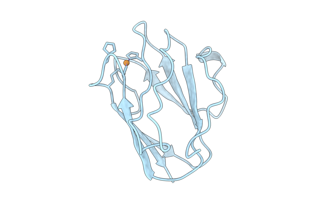 2RAC image