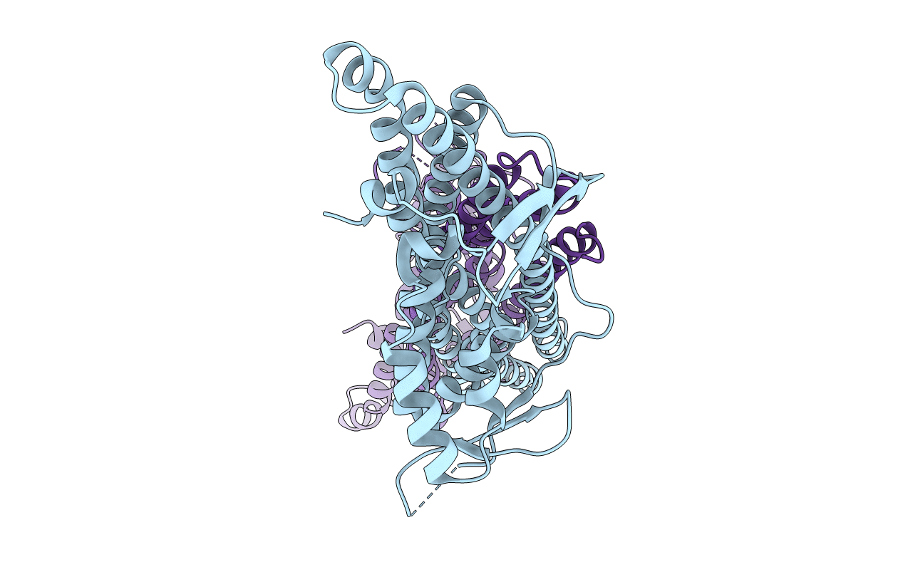 2RAI image