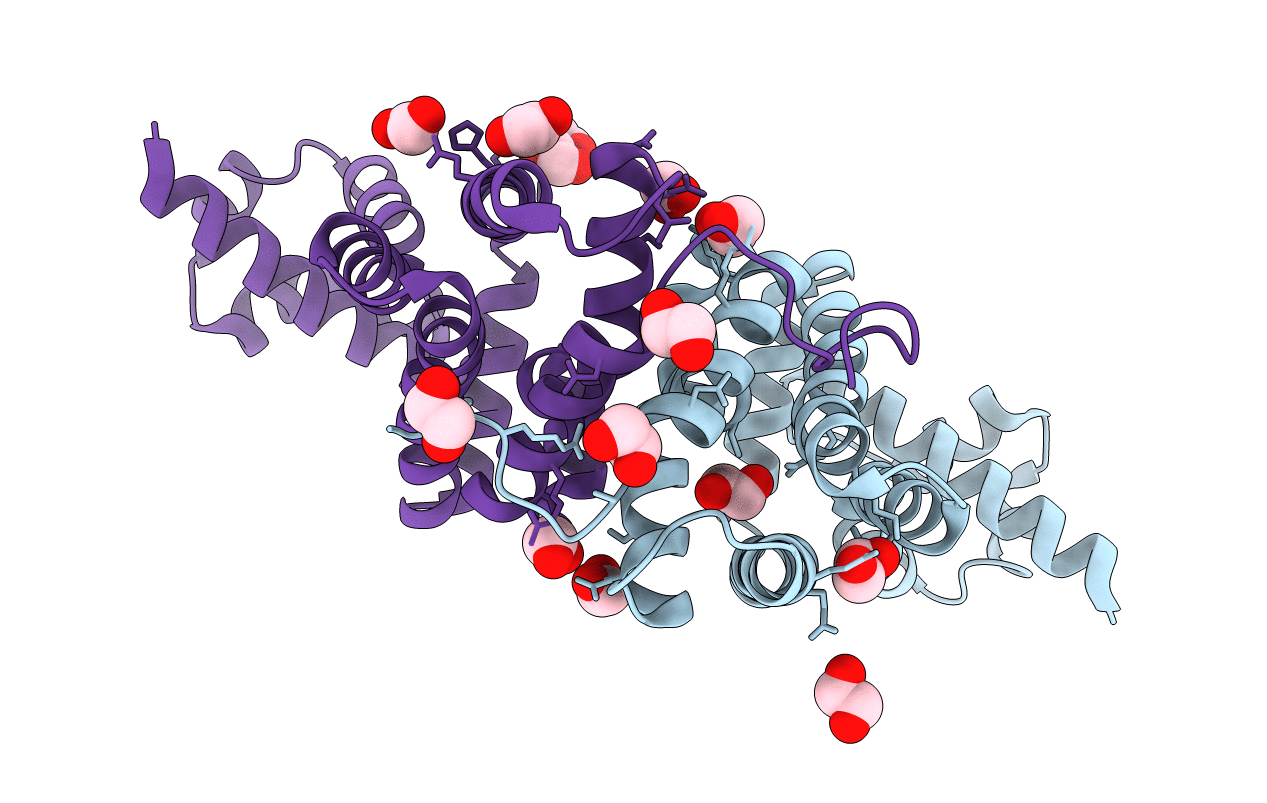 2RAS image