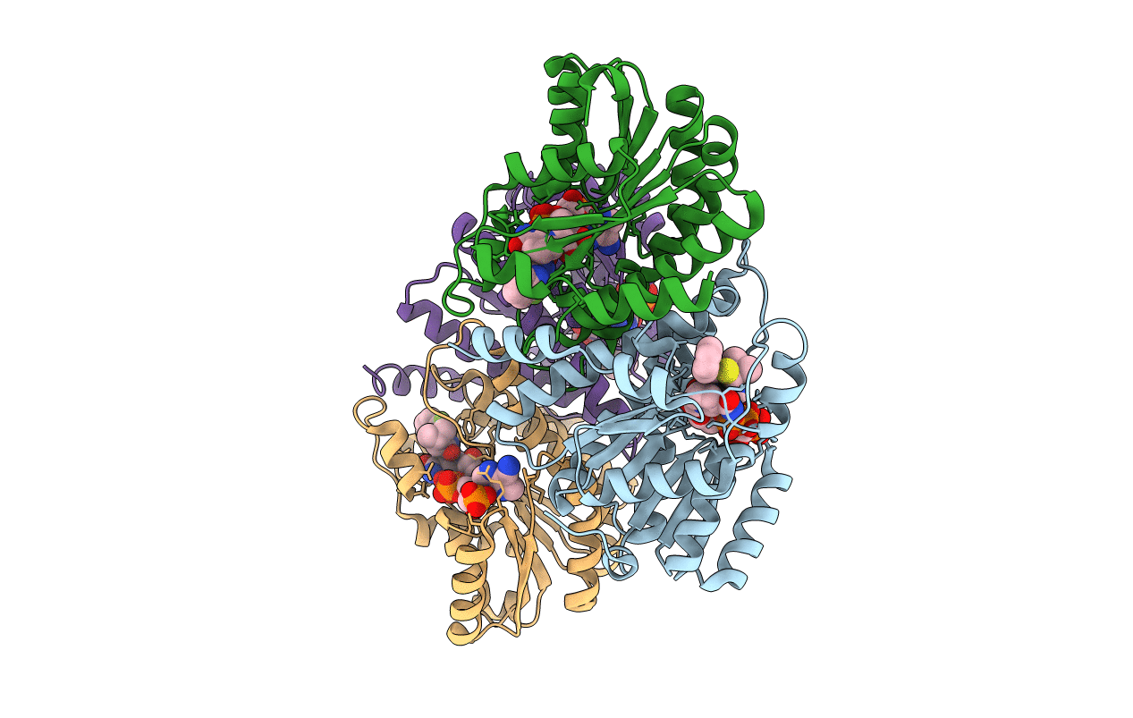 2RBE image