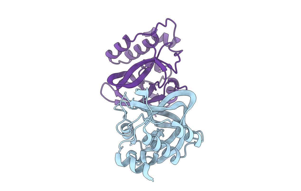 2RBH image