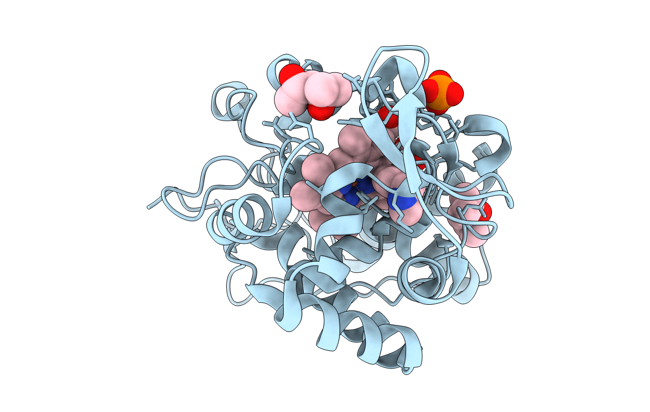 2RBT image