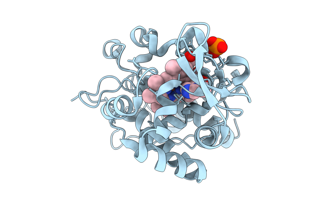 2RBY image