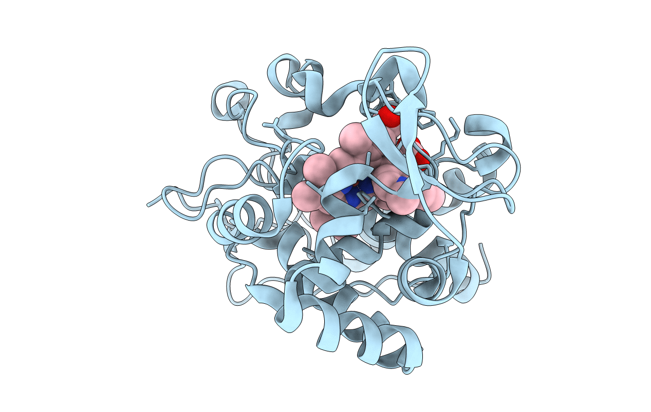 2RC2 image