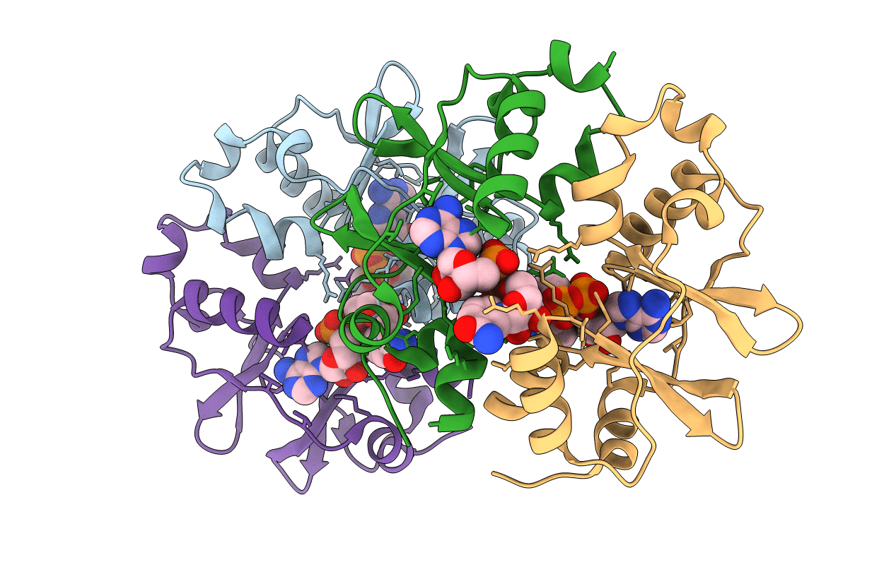 2RC3 image
