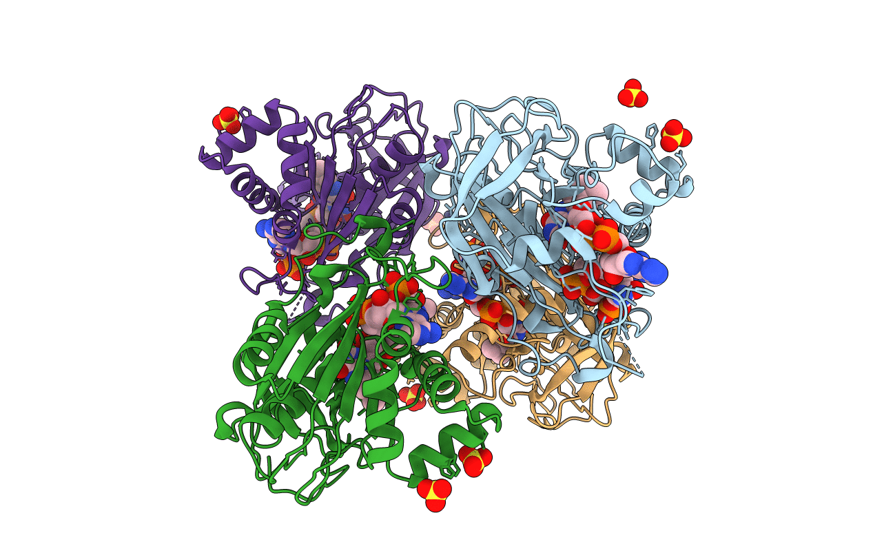 2RC6 image