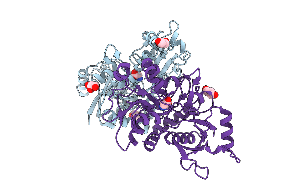 2RC7 image