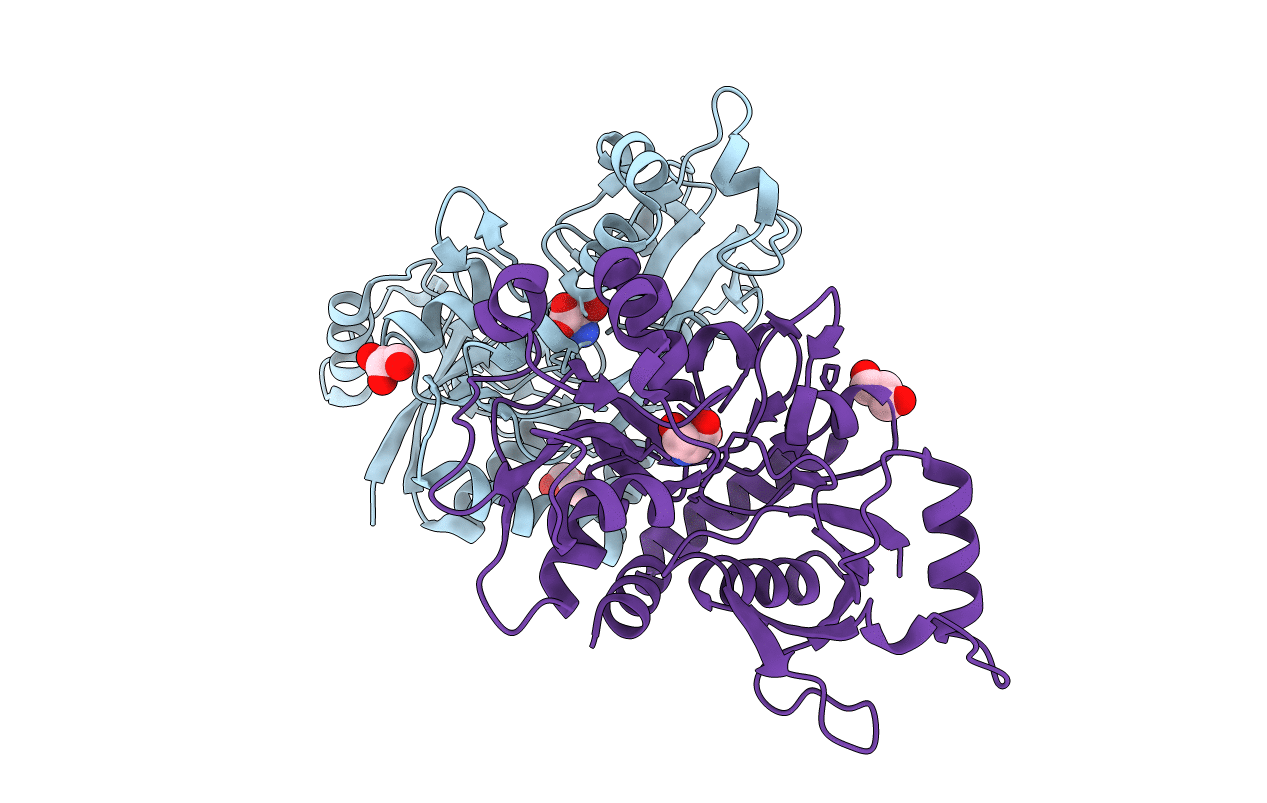 2RC8 image