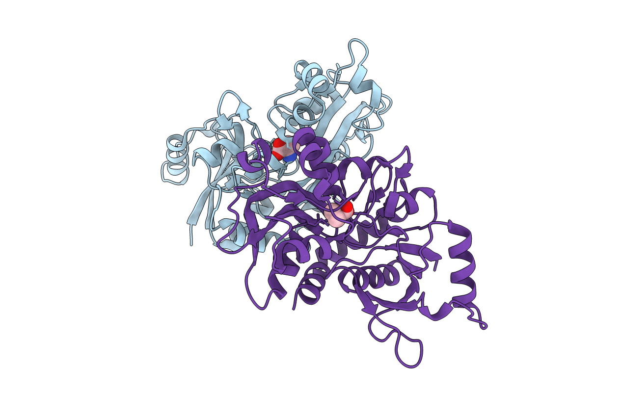 2RC9 image