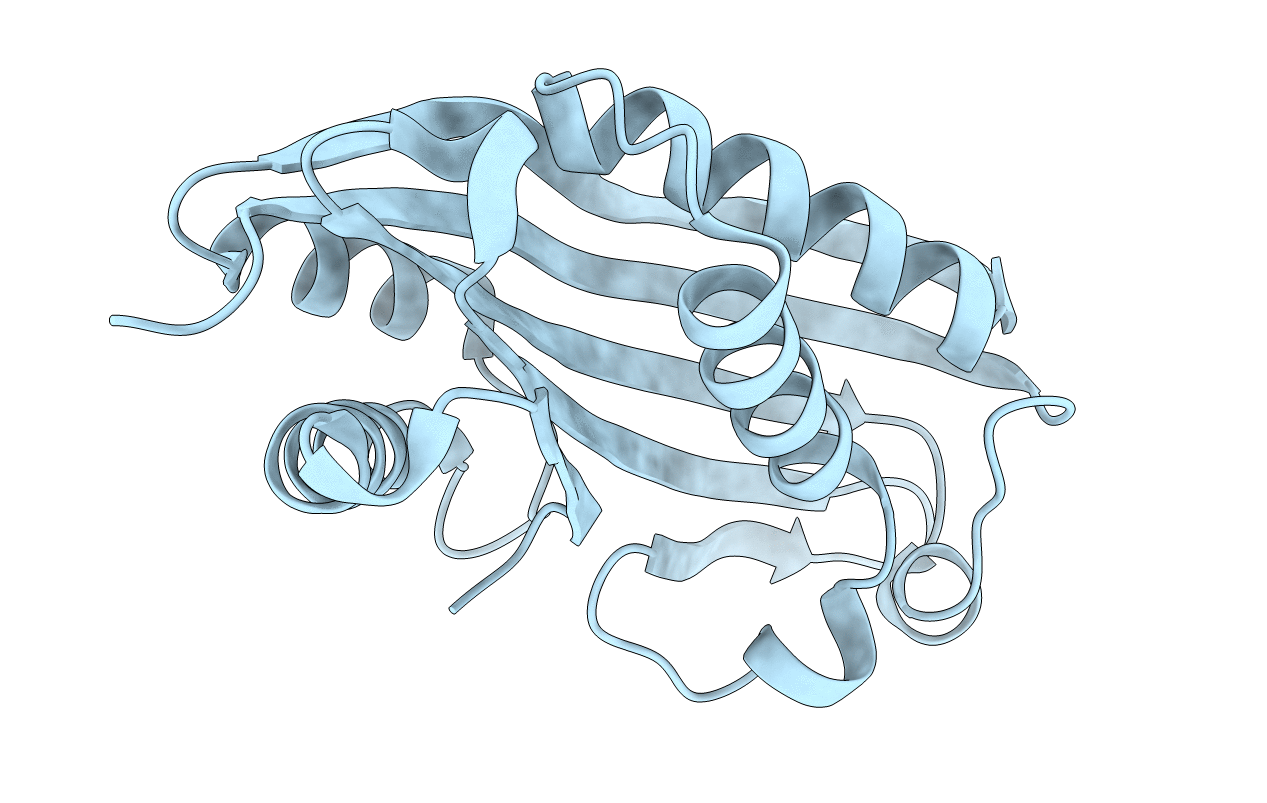 2RCI image