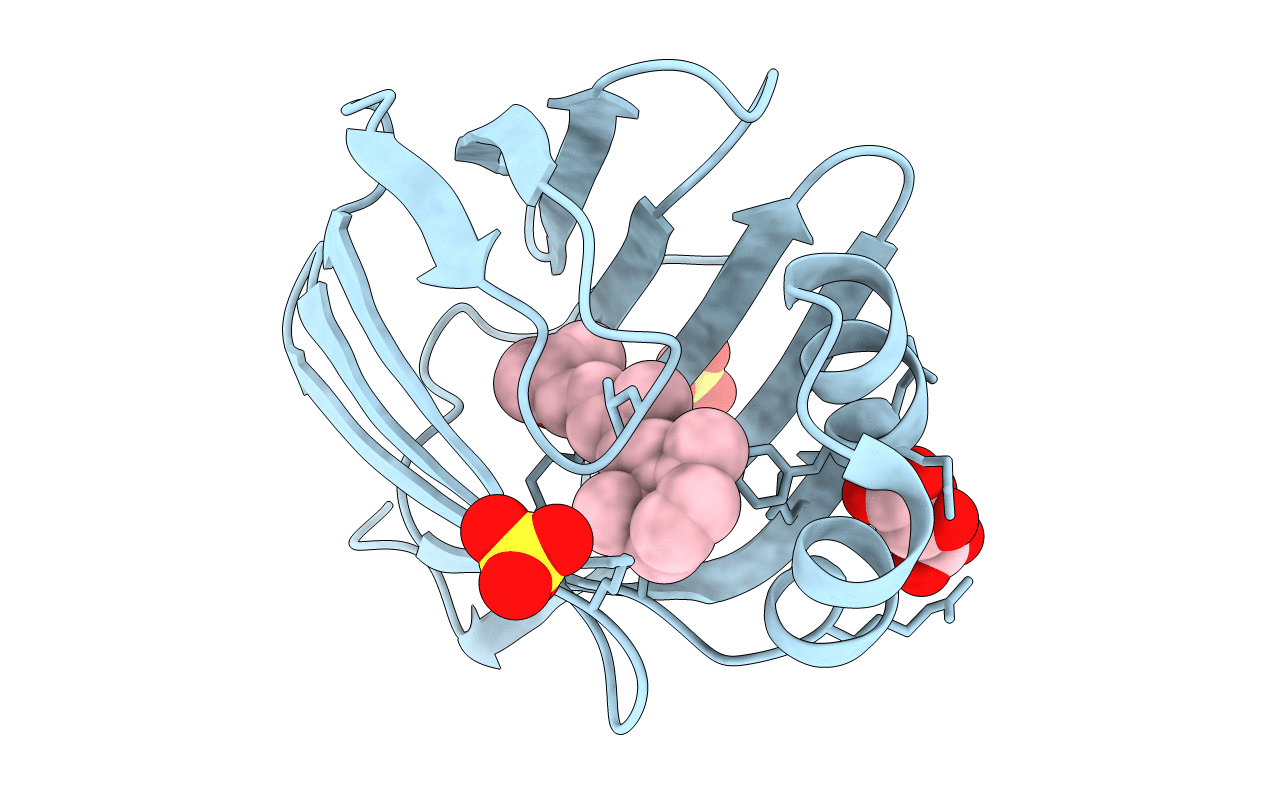 2RCT image