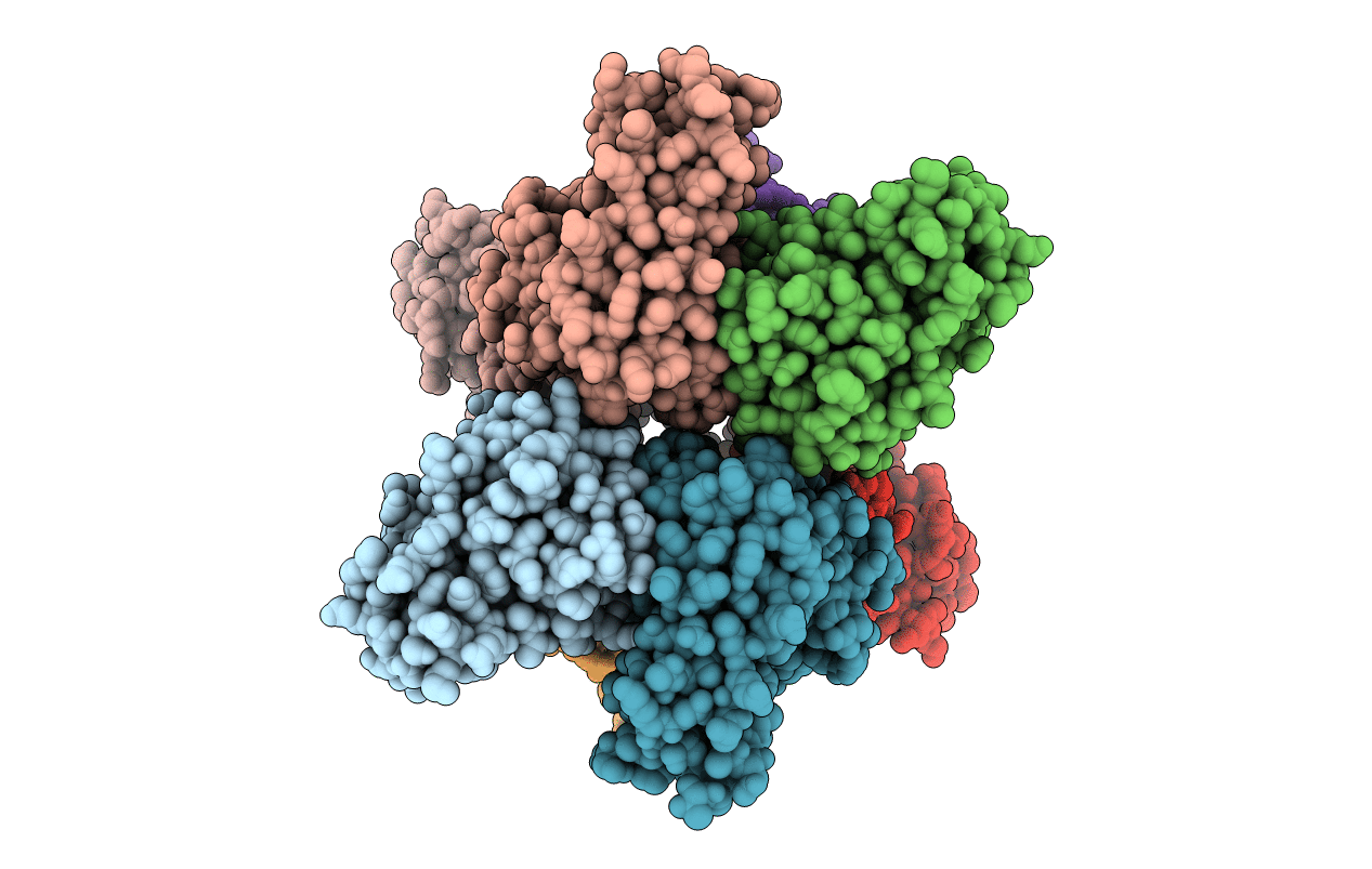 2RCV image
