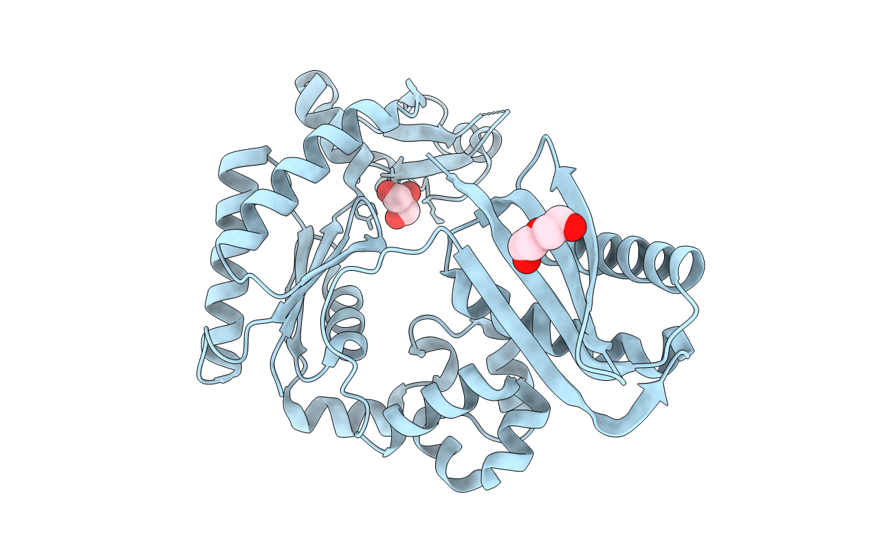 2rdi image