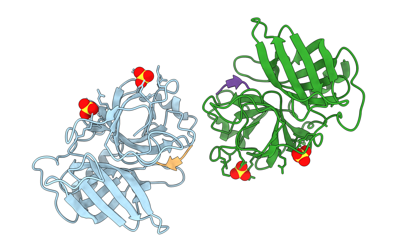 2RDL image