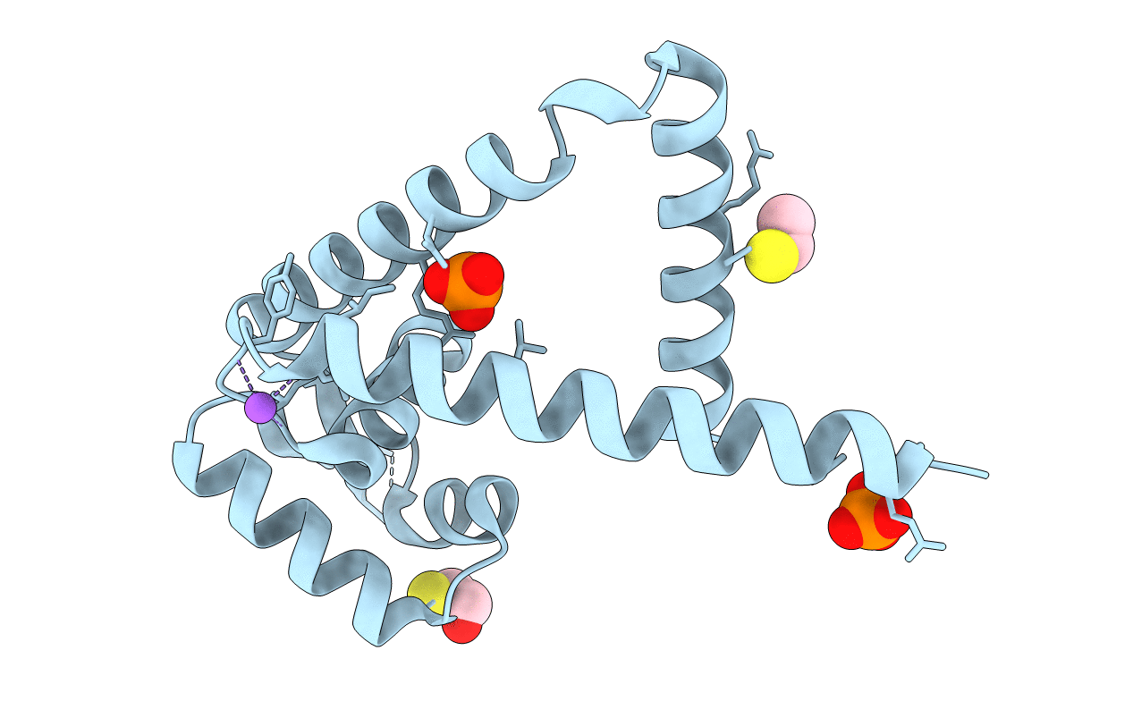 2RDP image