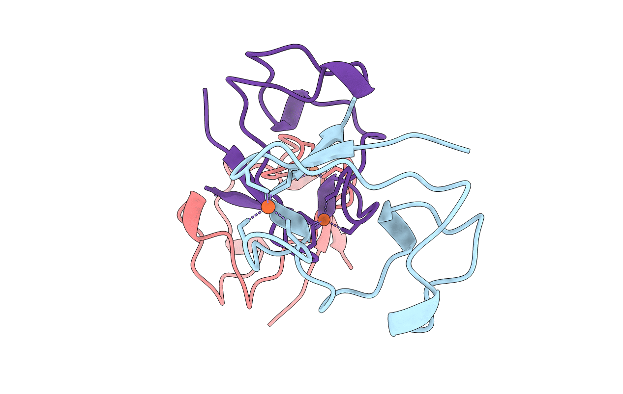 2RDV image