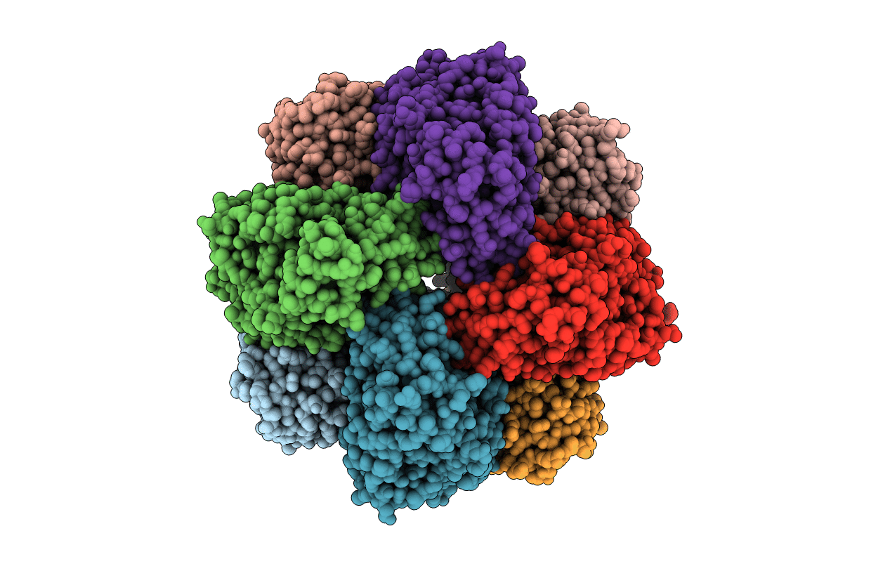 2RDX image