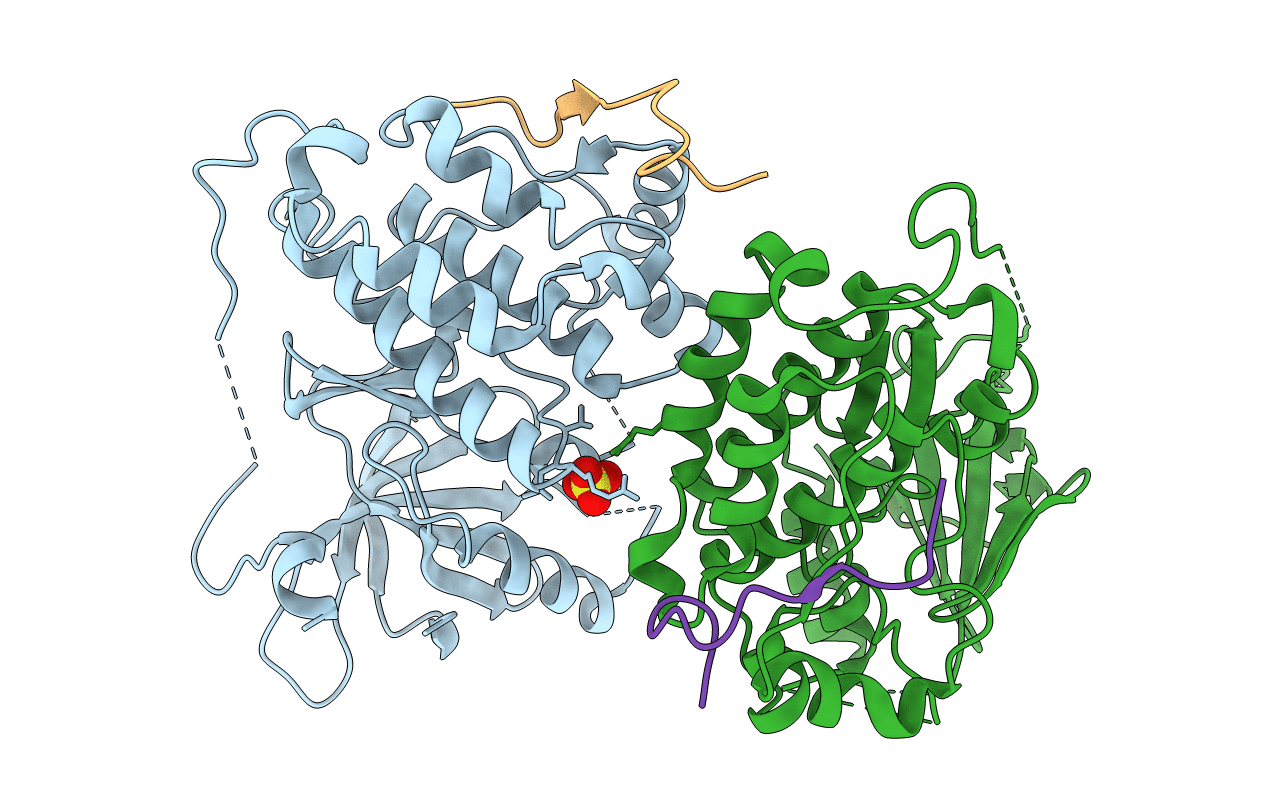 2RFD image