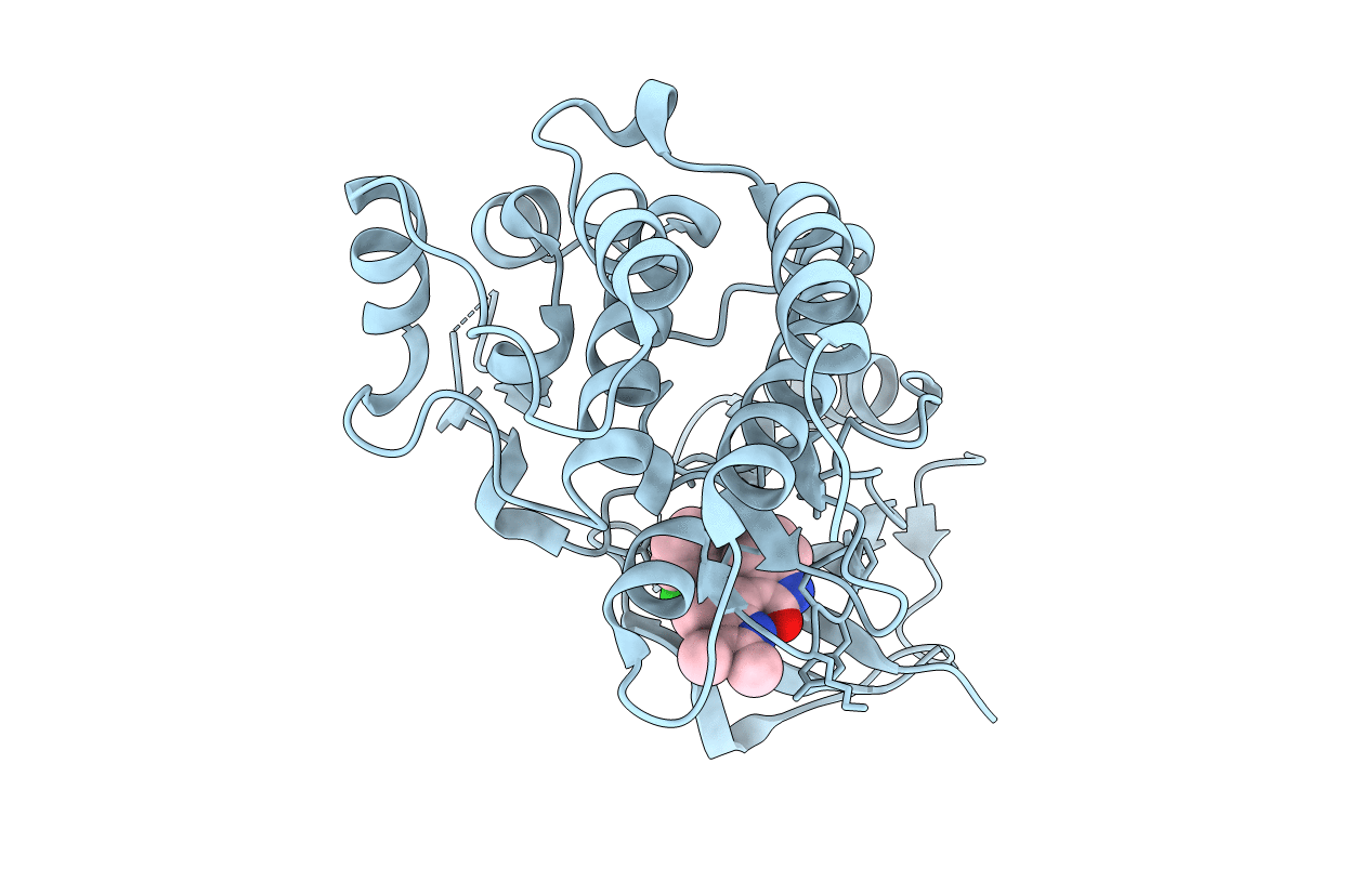 2RFS image