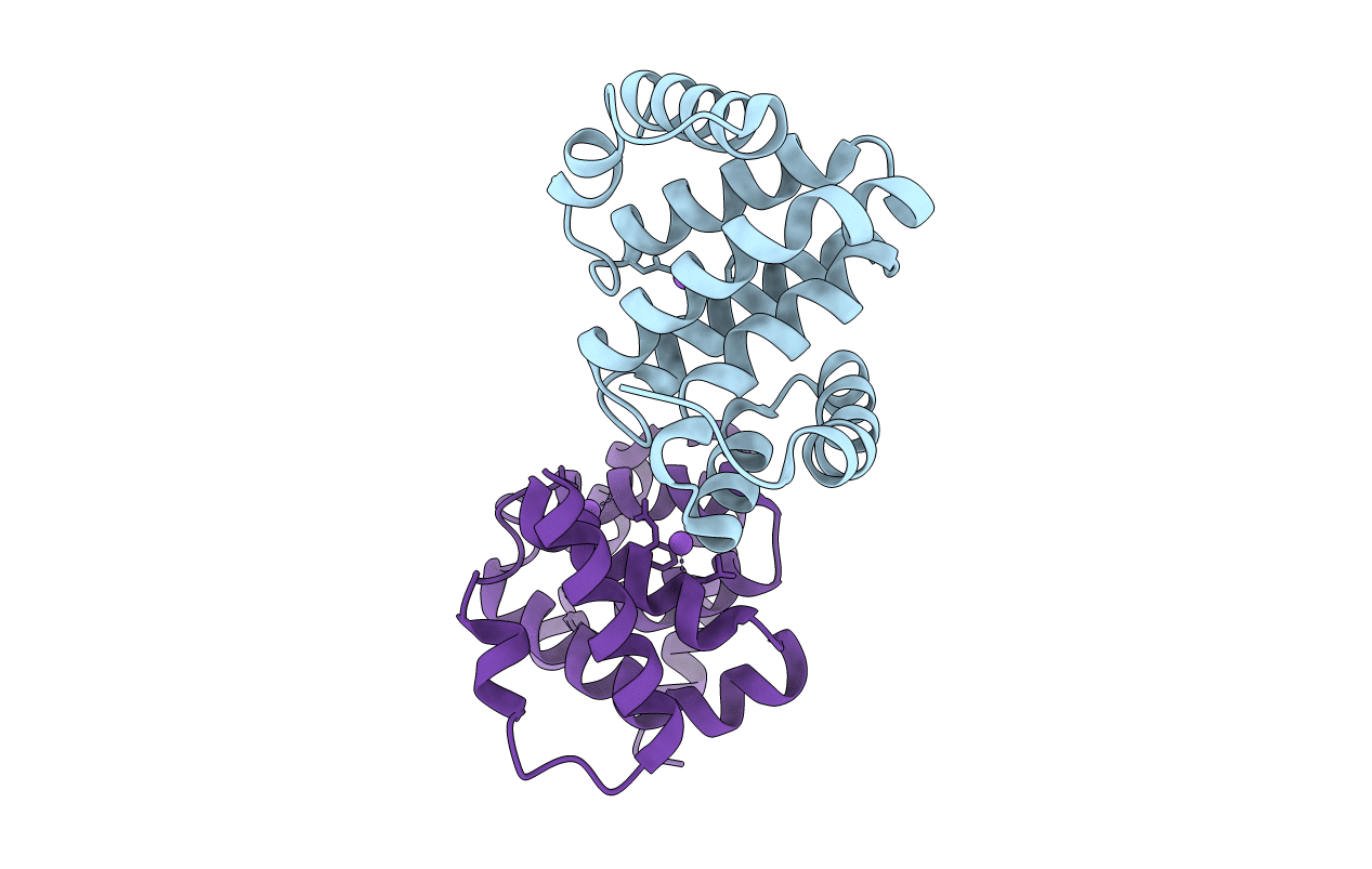 2RG8 image