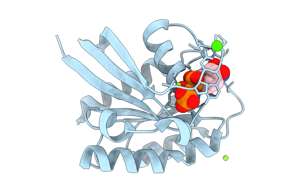2RGA image