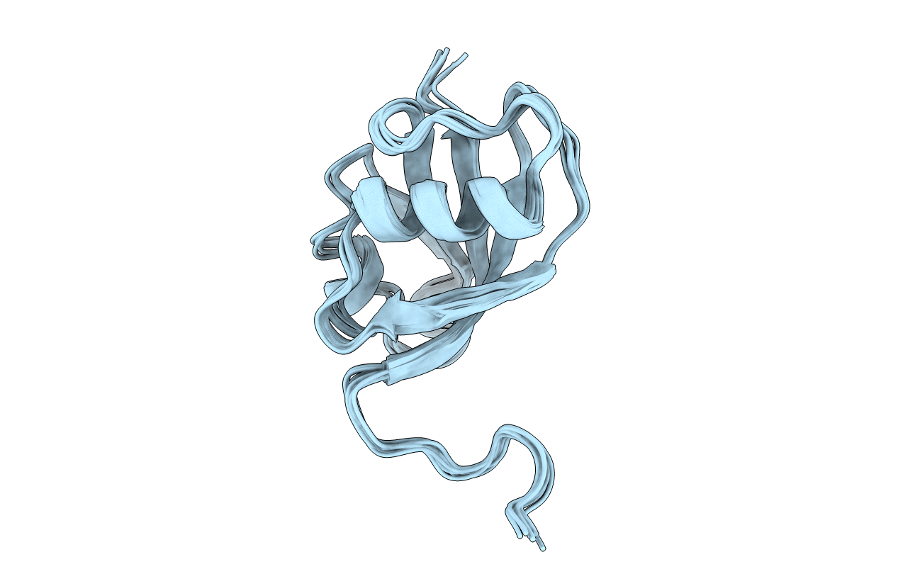 2RGF image