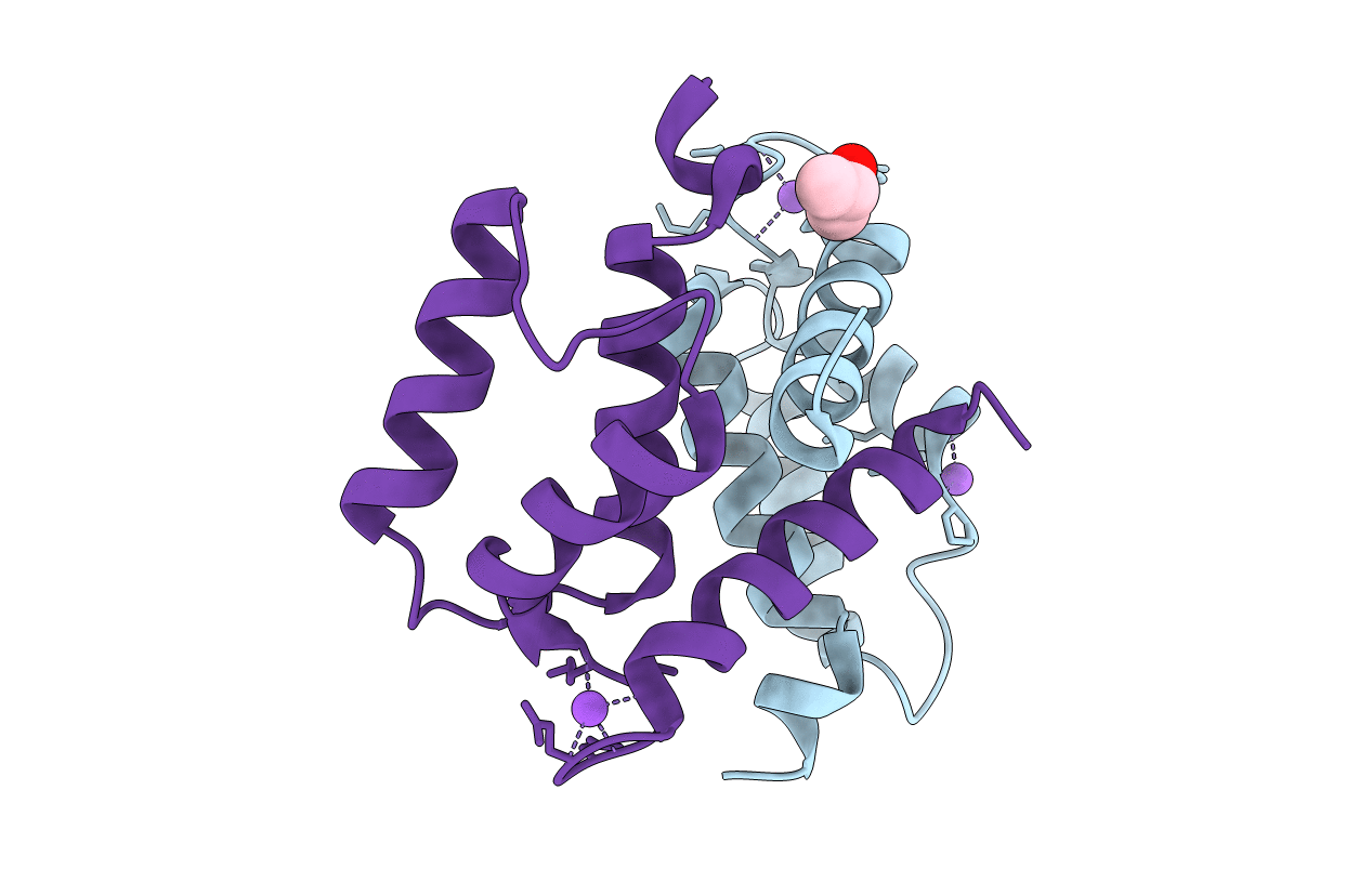 2RGI image