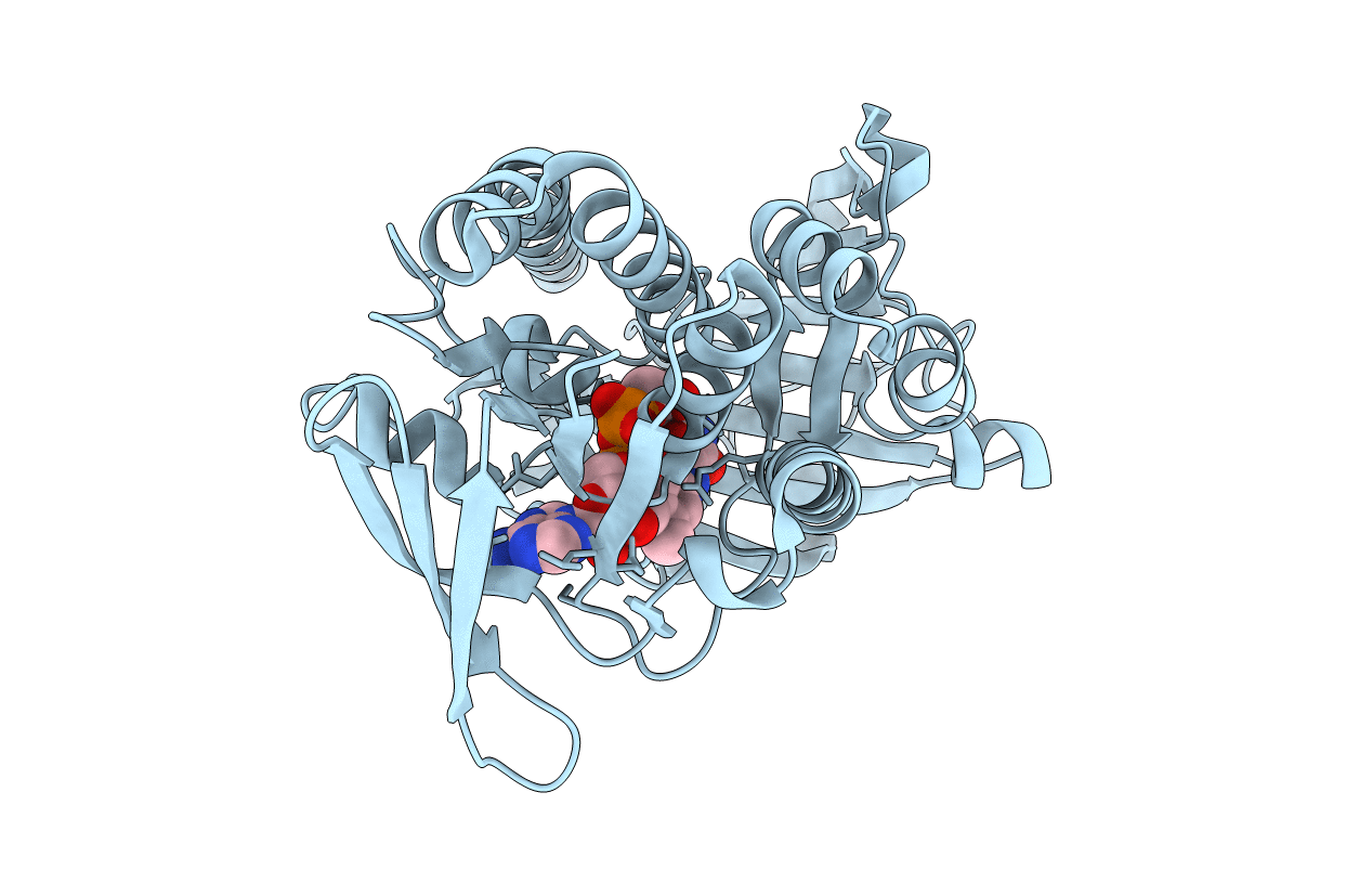 2RGJ image