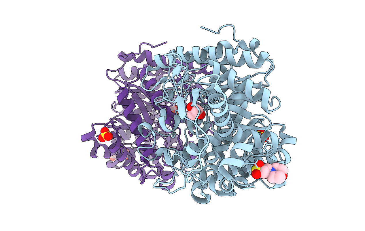 2RGL image