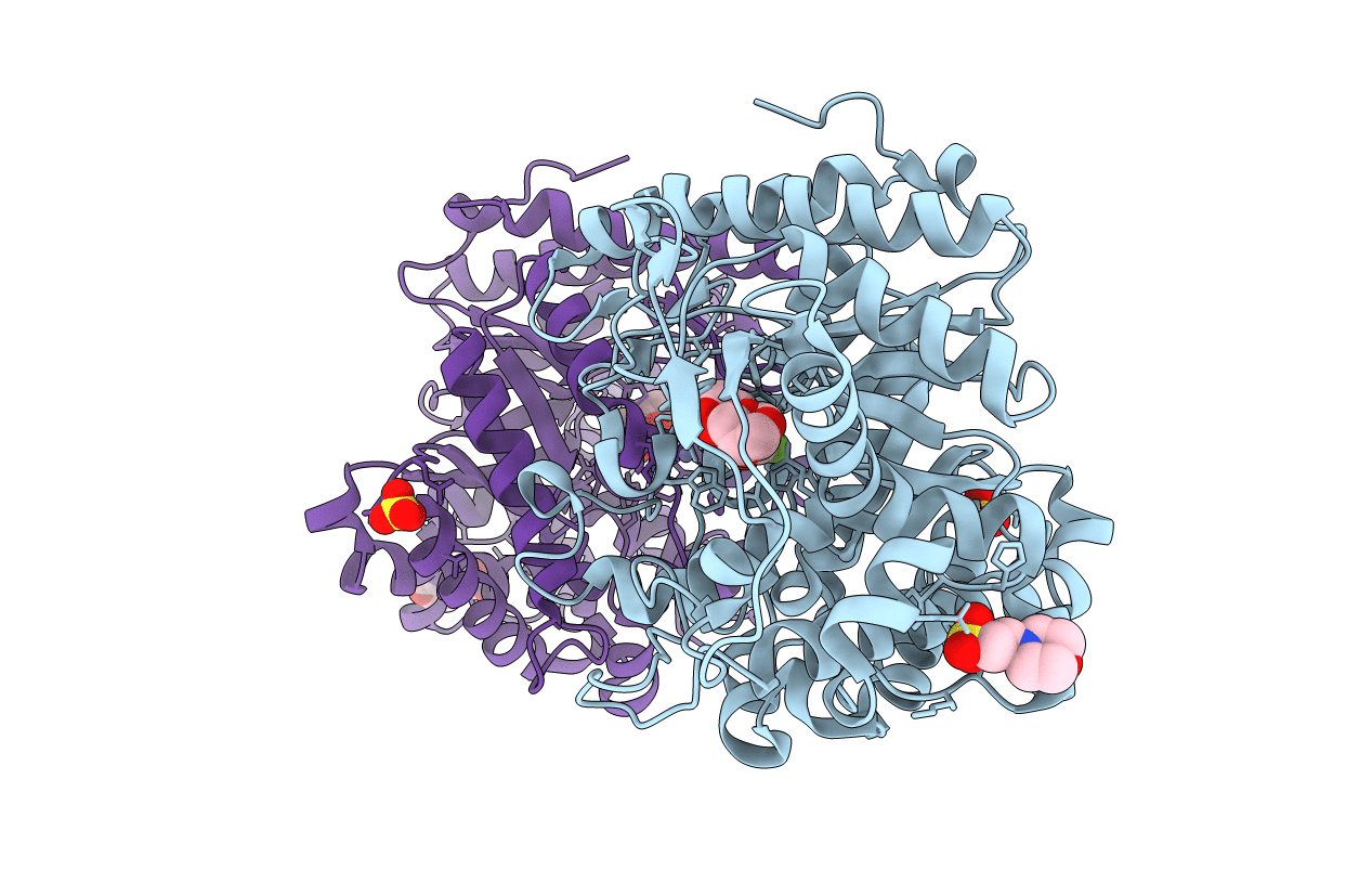 2RGM image