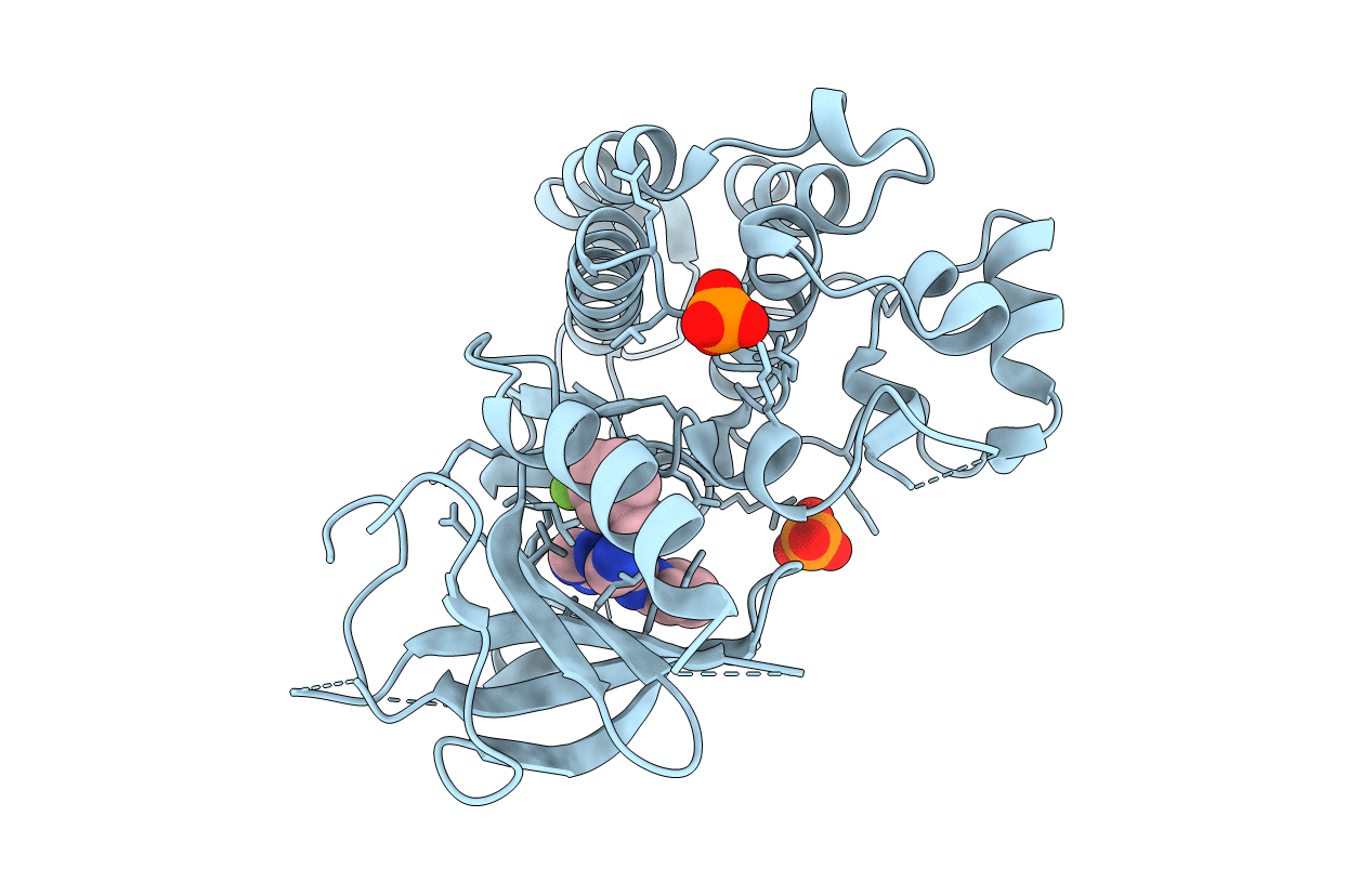 2RGP image