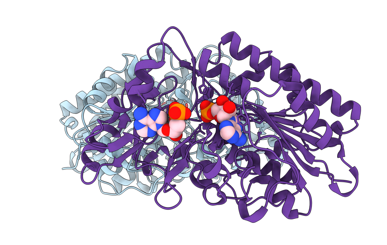 2RH6 image