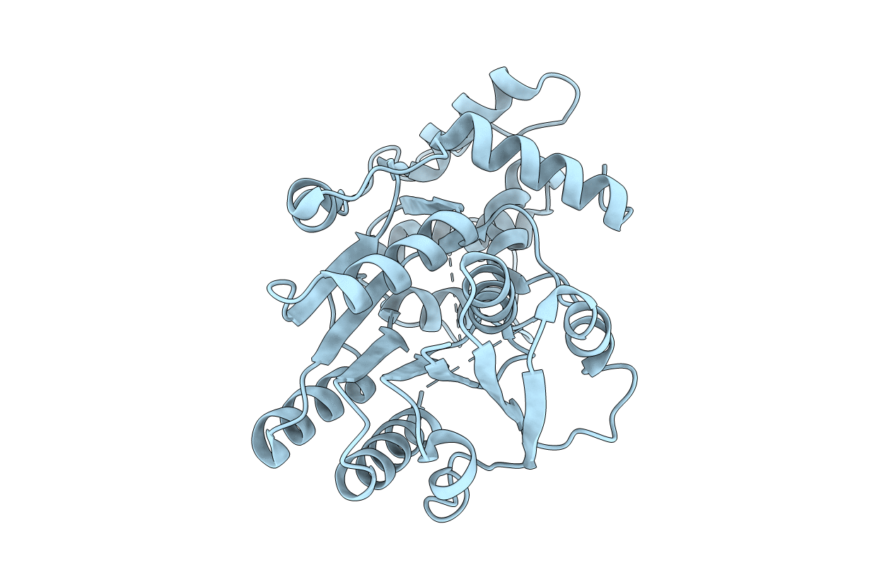 2RH8 image