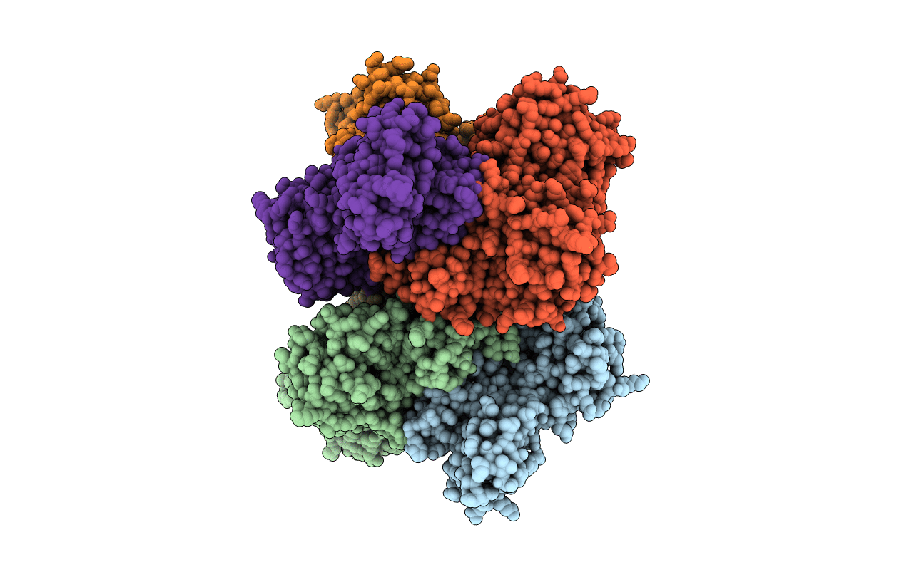 2RHB image