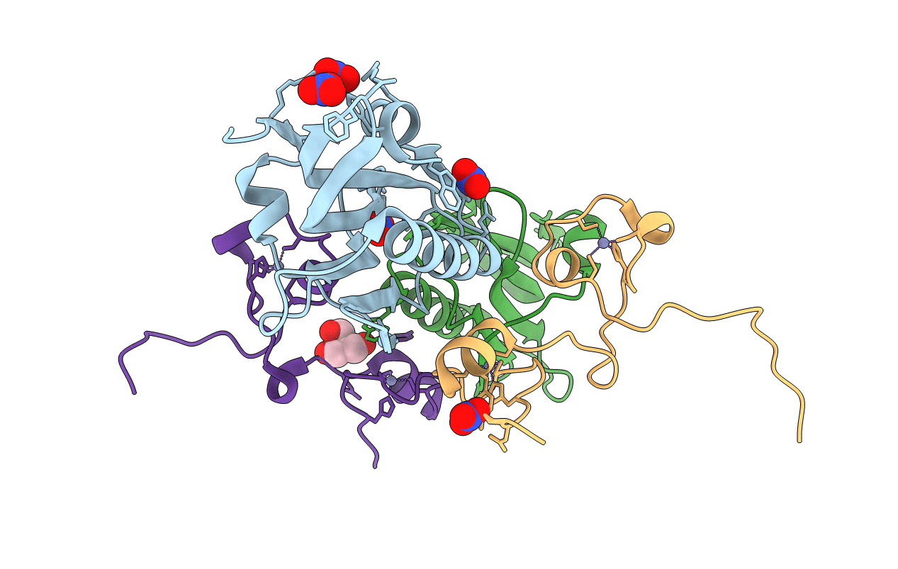 2RHK image