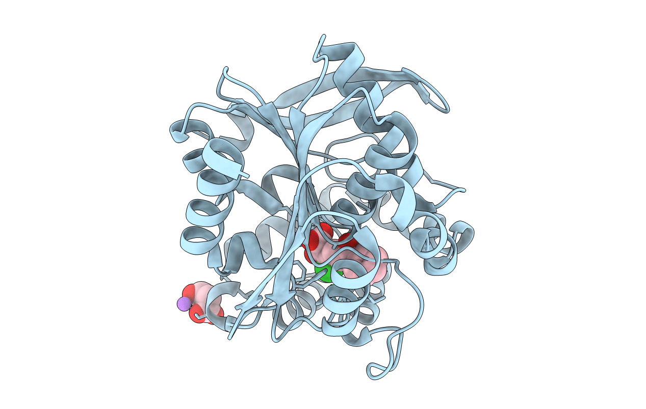 2RHT image