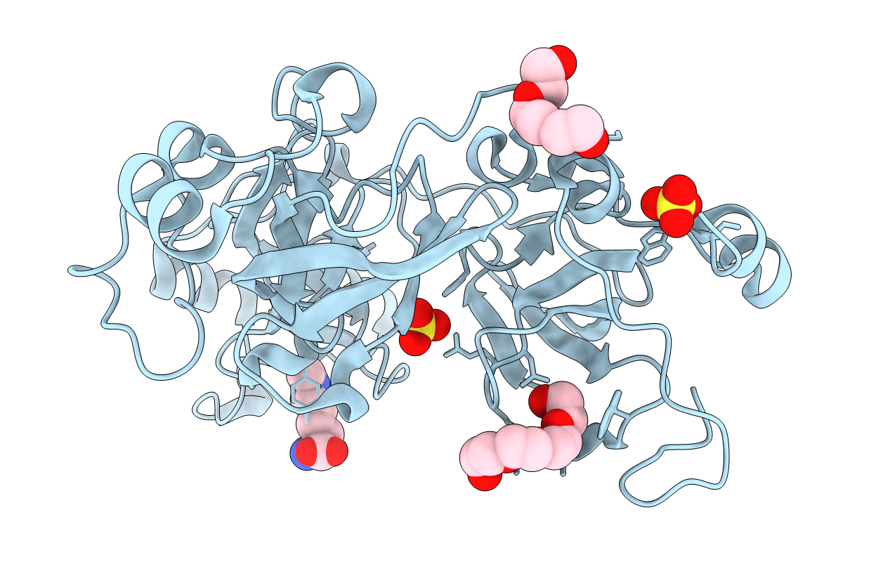 2RHX image