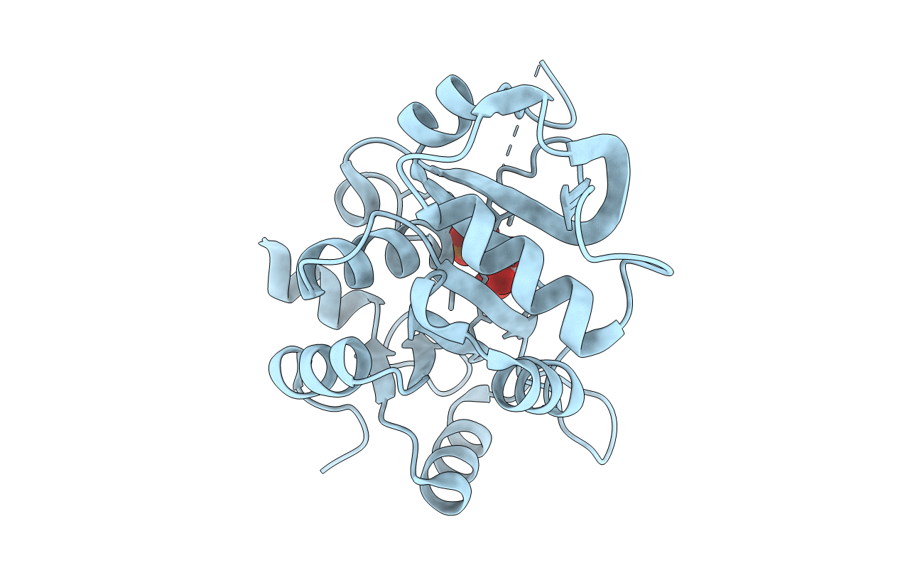 2RIU image